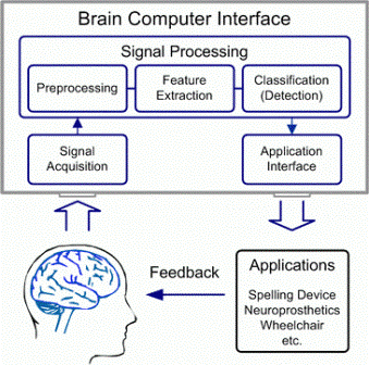 Bran human interface